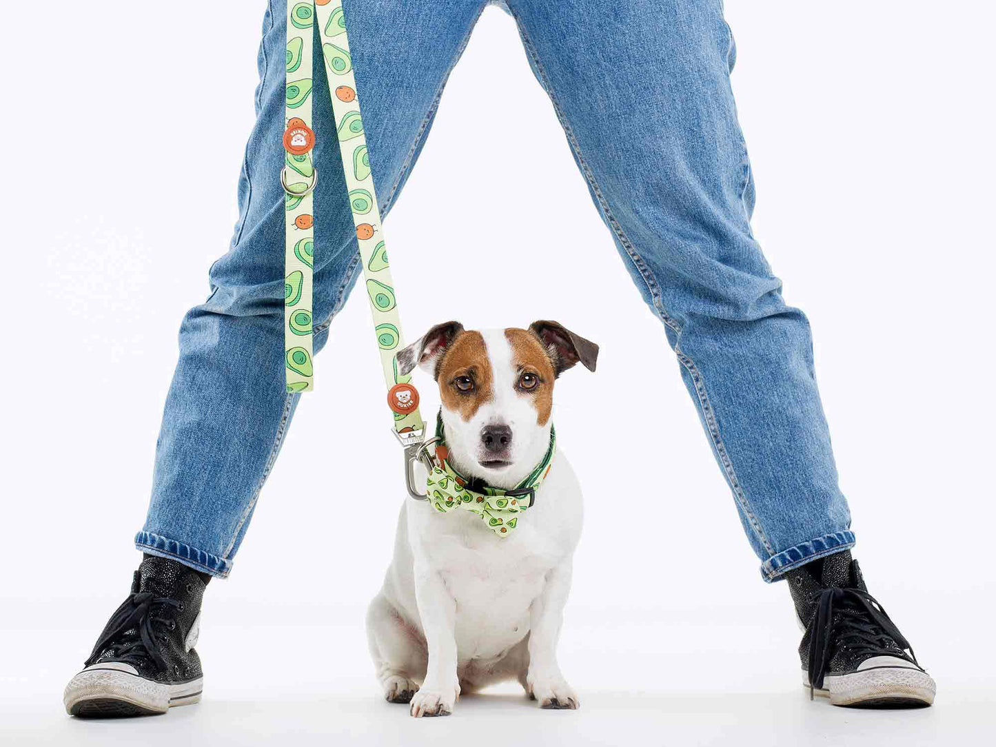 LAISSE POUR CHIEN AVOCAT