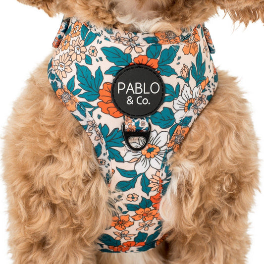 Wildflowers : HARNAIS AJUSTABLE POUR CHIEN