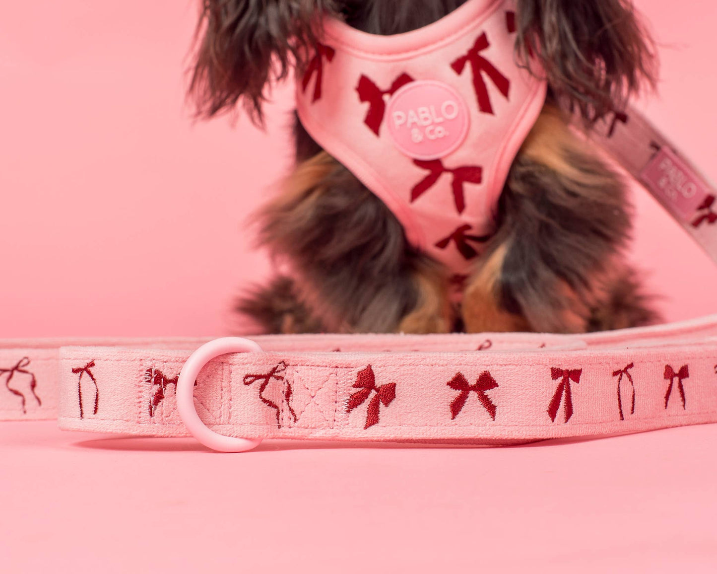 Laisse pour chien : Nœuds en velours blush: 1,5 cm