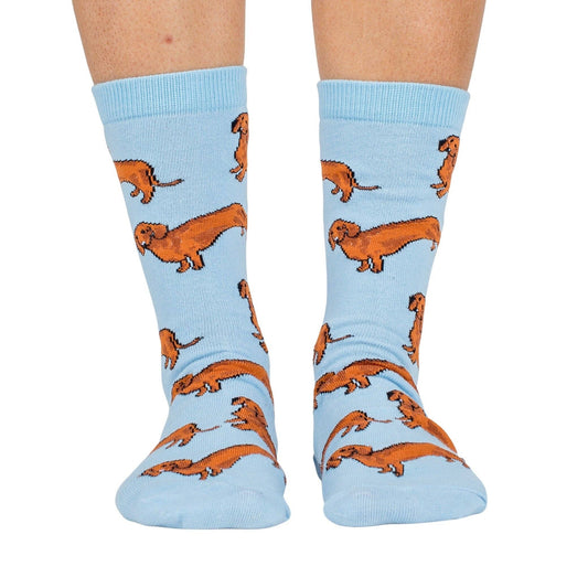 Chaussettes Dog Race: Teckel