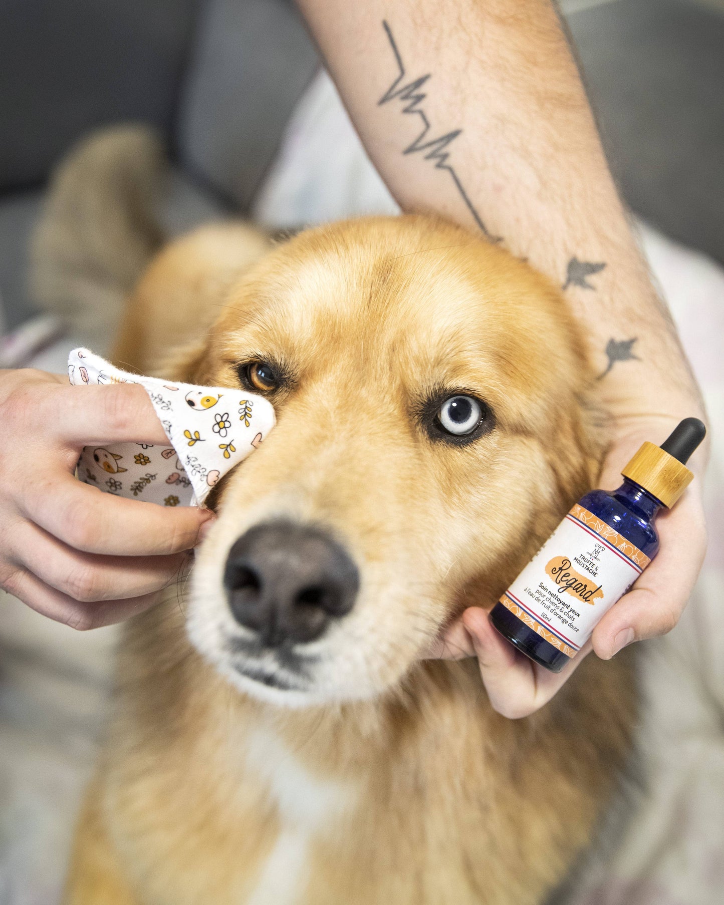 Soin Nettoyant yeux pour chien & chat, "Regard"