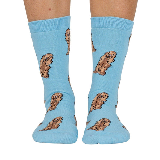 Chaussettes Dog Race: Cocker épagneul