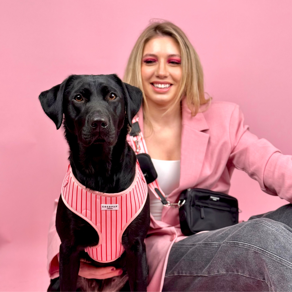 Arnés de Cuello Ajustable a Rayas de Caramelo: M