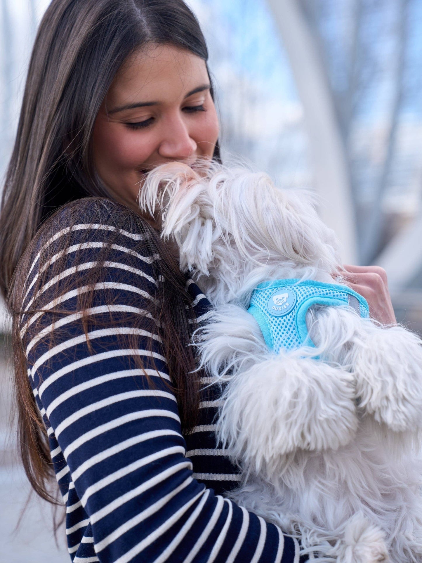 HARNAIS BODY CHIEN SOFT BLUE: XS