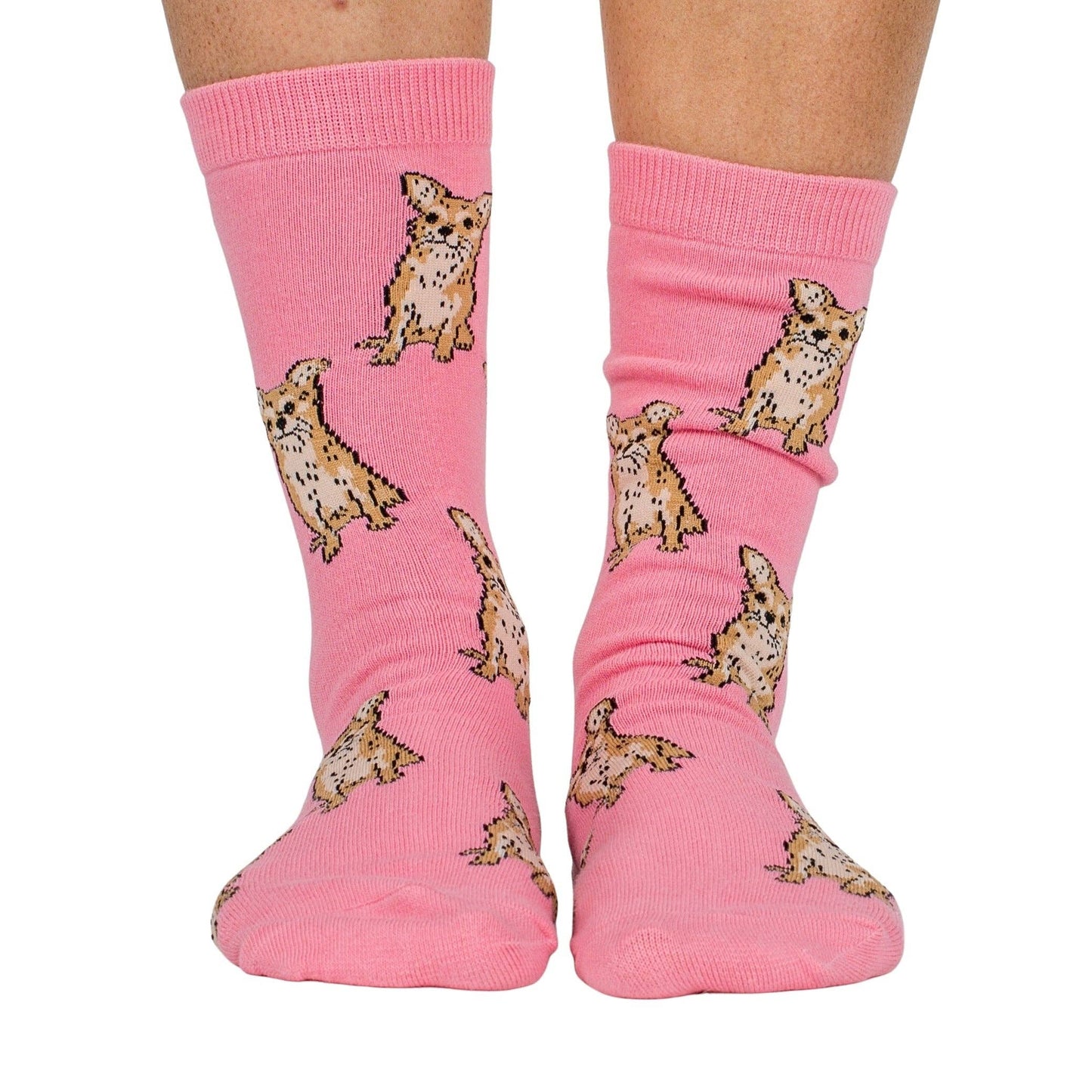 Chaussettes Dog Race: Poméranie