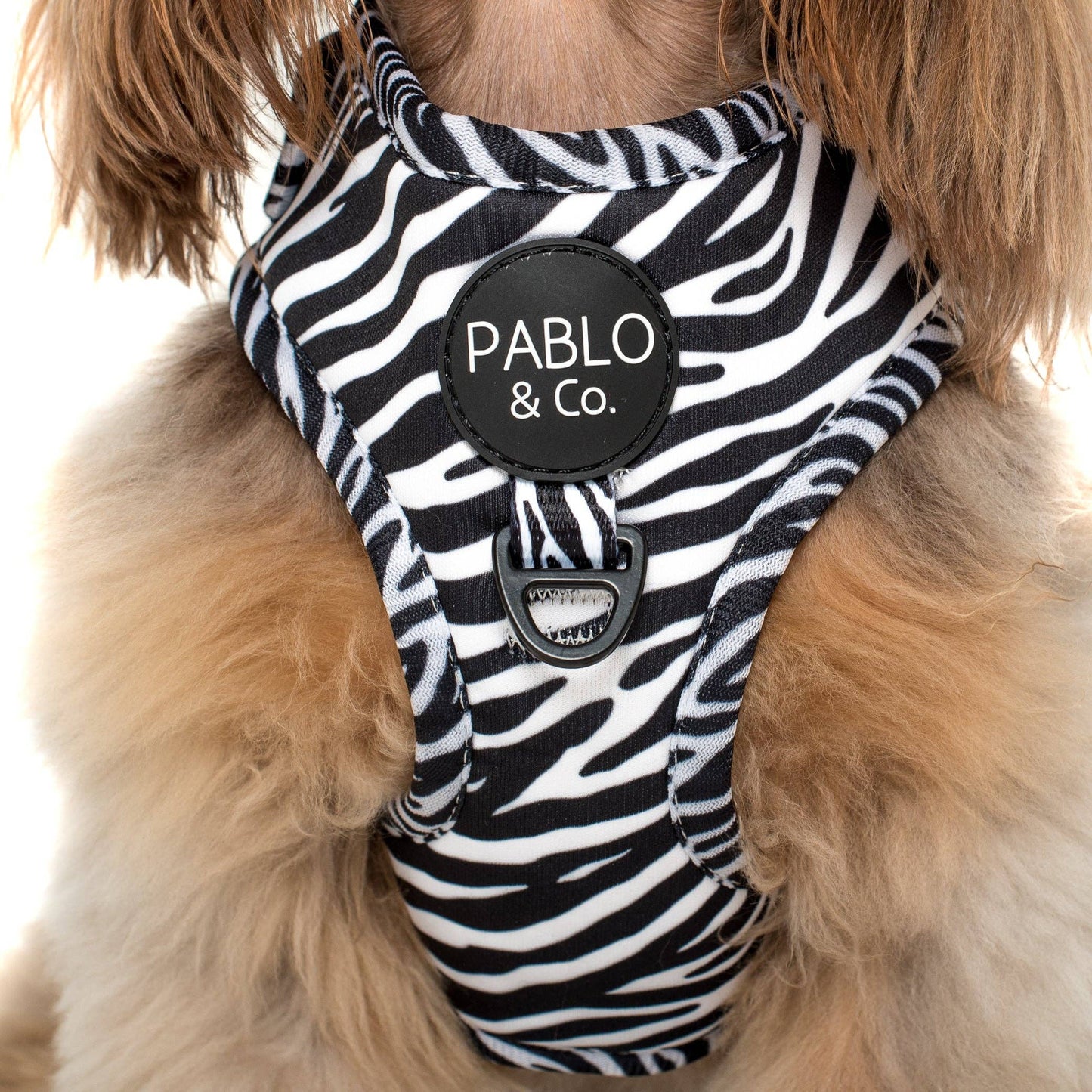 Black & White Zebra : HARNAIS AJUSTABLE POUR CHIEN