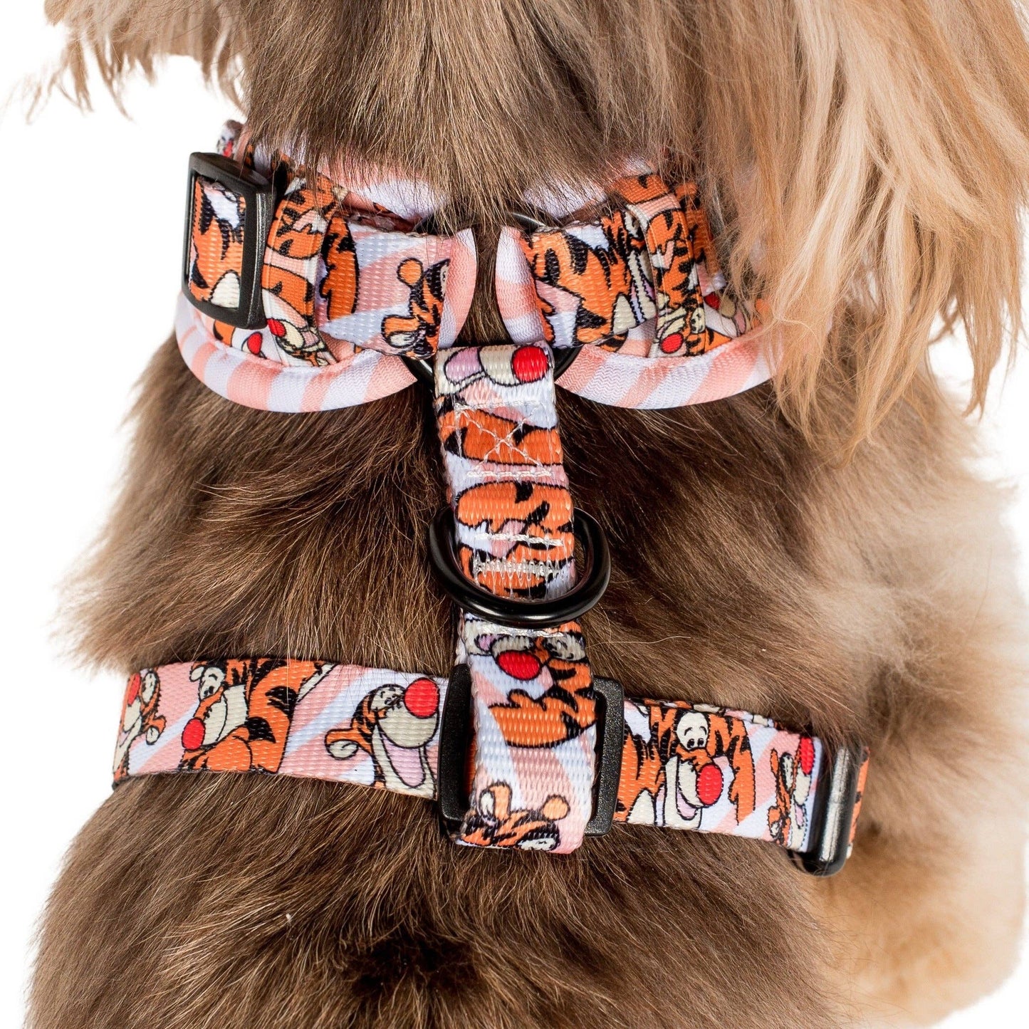 Le tigre unique en son genre : harnais ajustable: Petit
