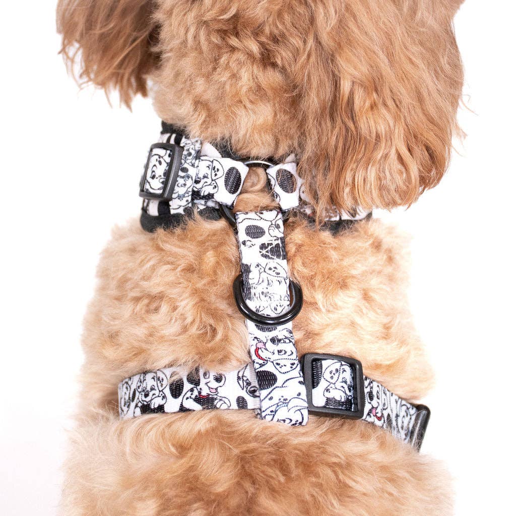 101 Dalmatiens : harnais ajustable pour chien: Petit