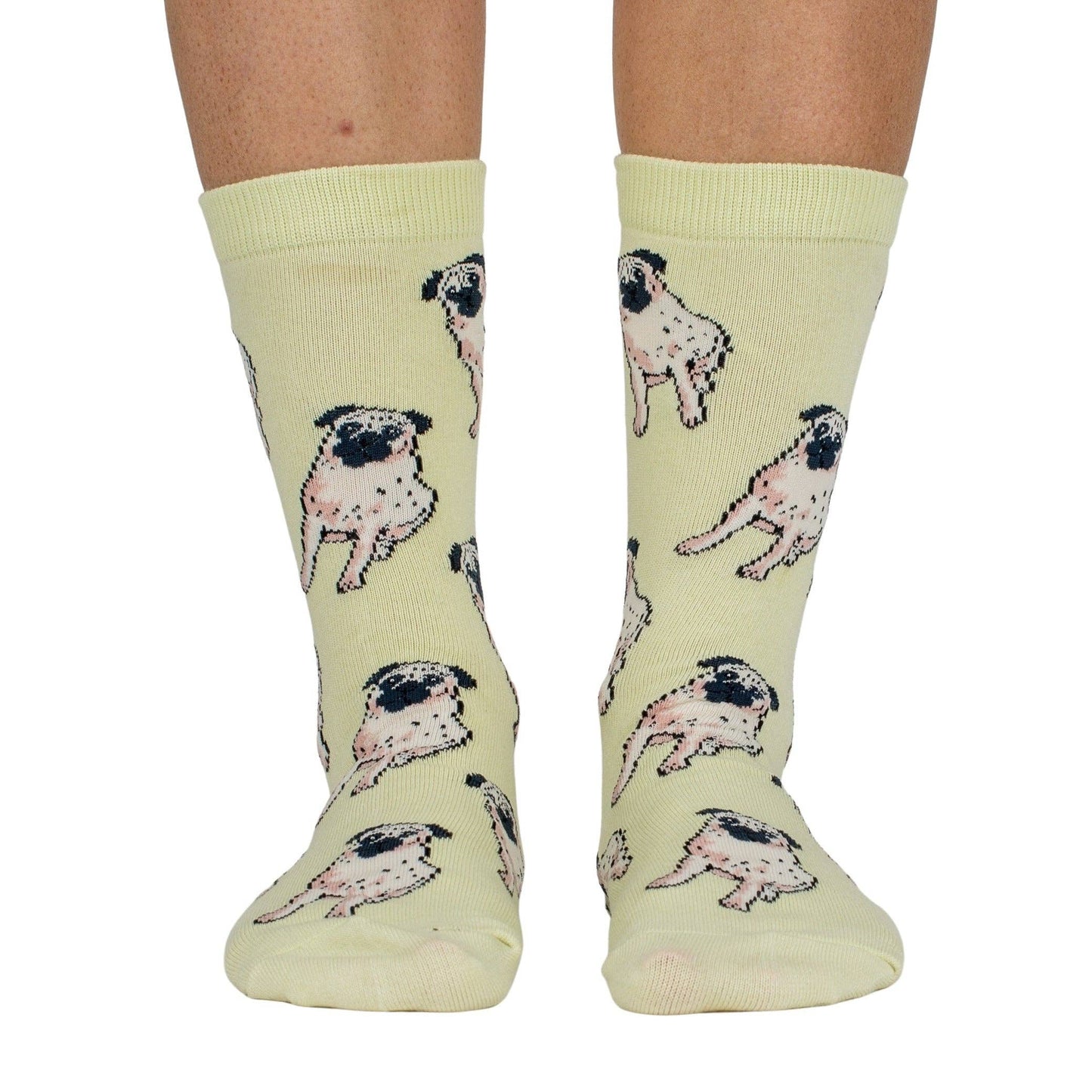 Chaussettes Dog Race: Poméranie