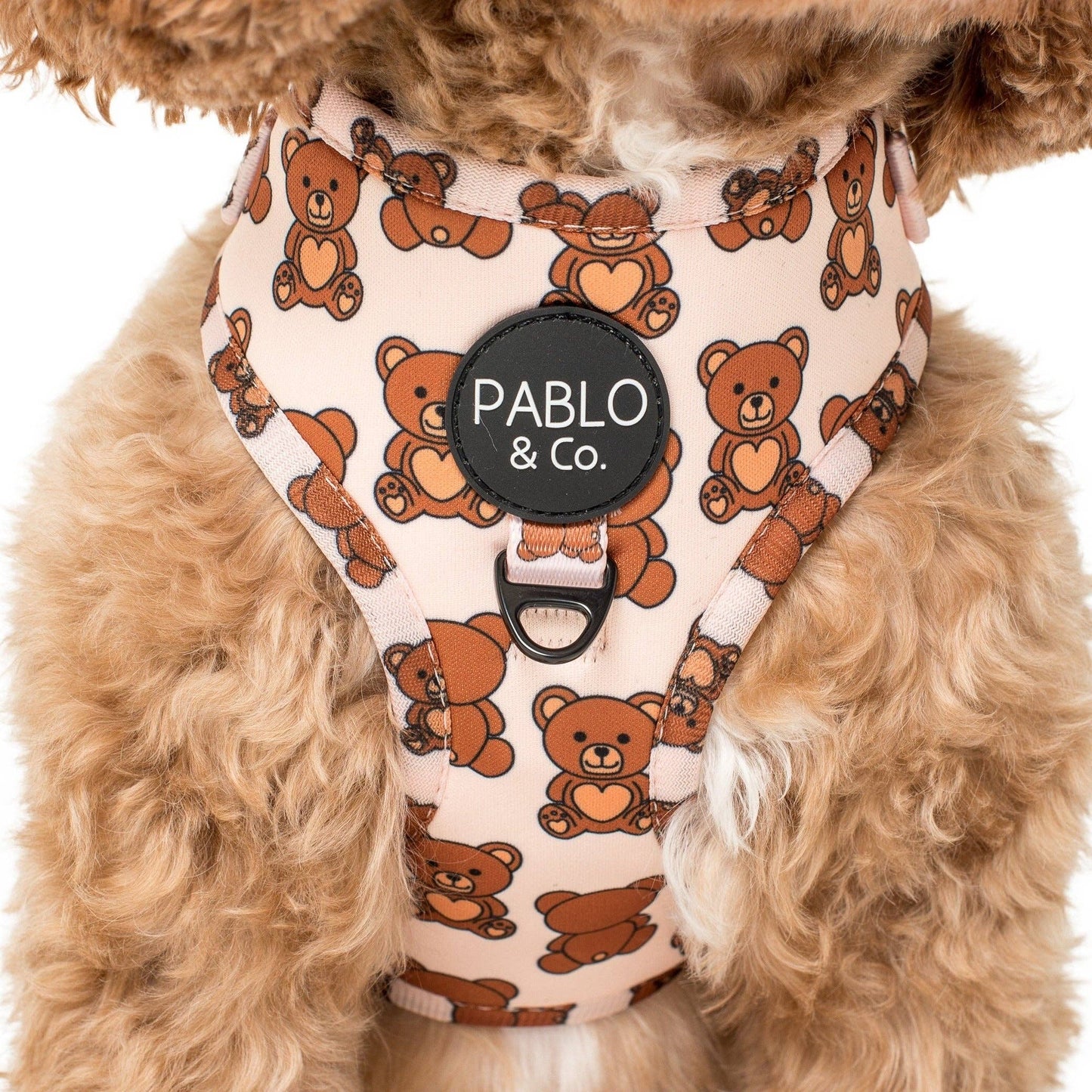 Teddy Bears Picnic : HARNAIS AJUSTABLE POUR CHIEN