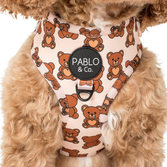 Teddy Bears Picnic : HARNAIS AJUSTABLE POUR CHIEN