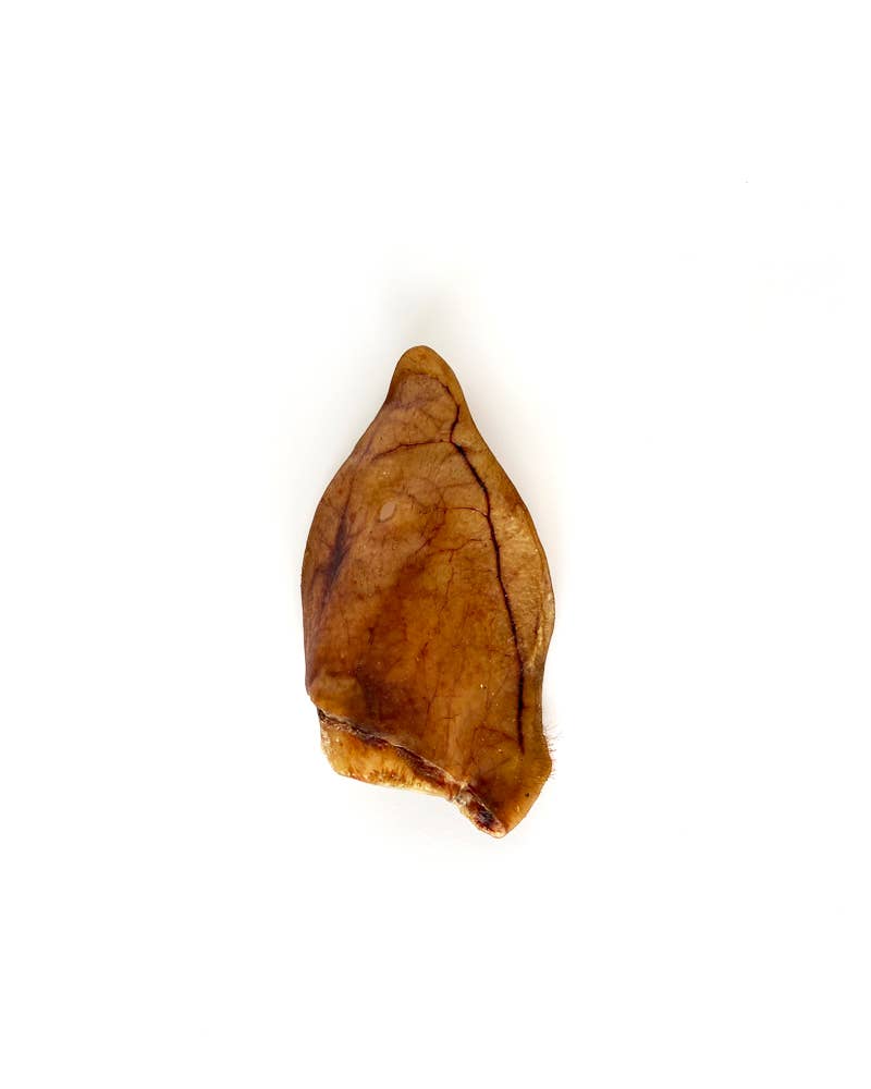 Oreille de porc ibérique - Snack naturel pour chiens