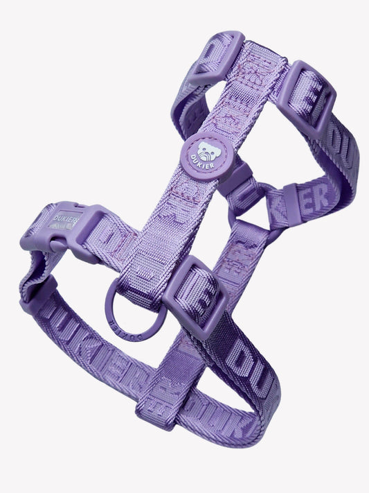HARNAIS CLASSIQUE POUR CHIEN VIOLET
