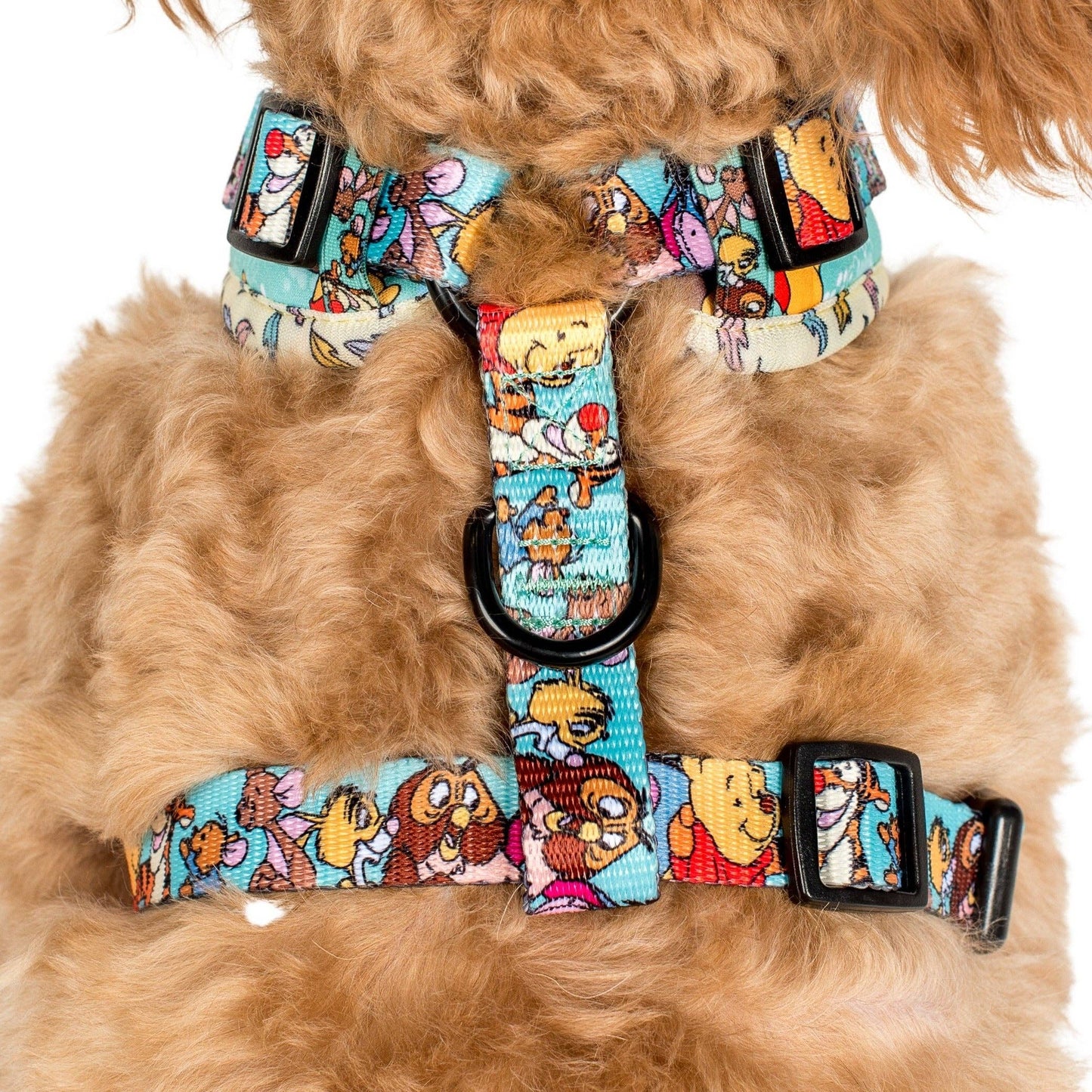 Winnie l'ourson et ses amis de la forêt : harnais ajustable: Petit