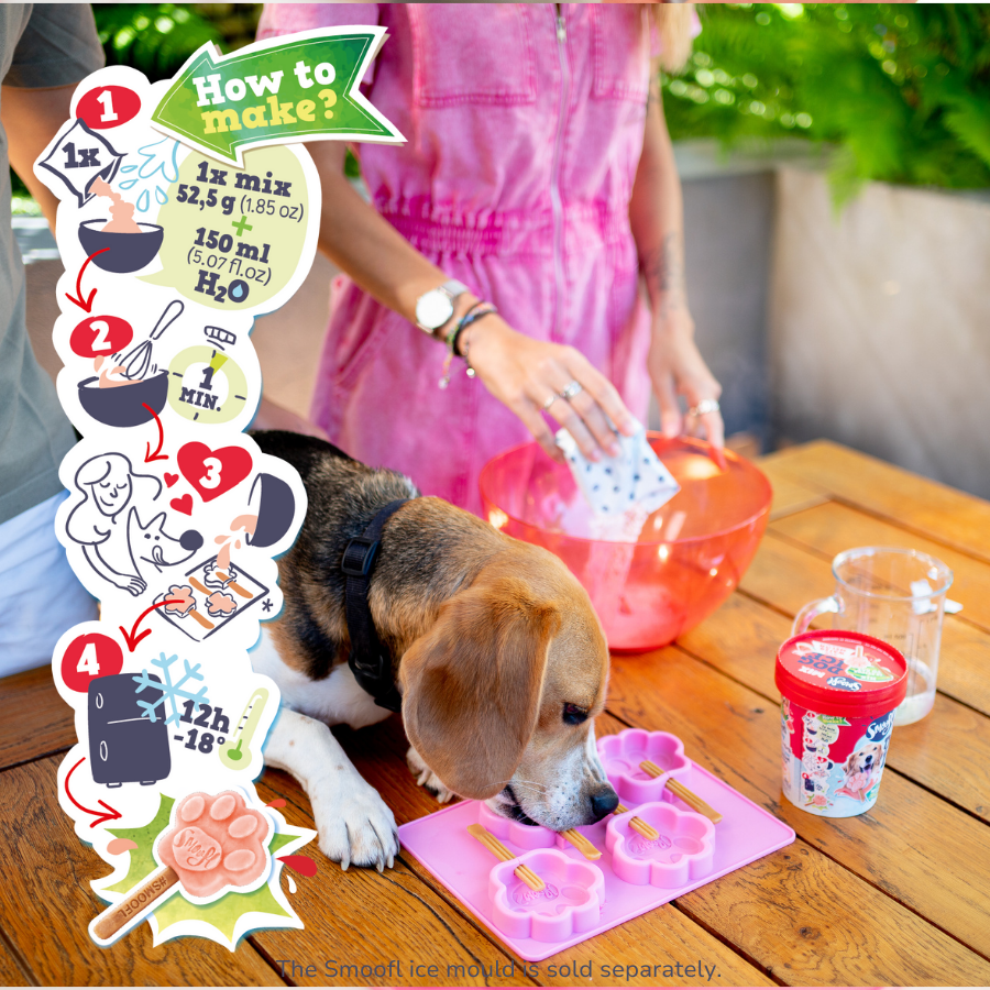 Mélange de pastèque pour glace pour chien