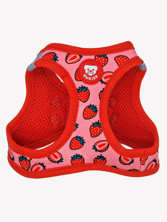 HARNAIS BODY CHIEN BERRY LOVE: M