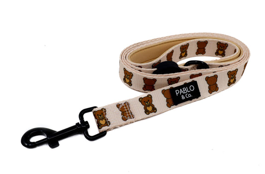 Teddy Bears Picnic : LAISSE POUR CHIEN
