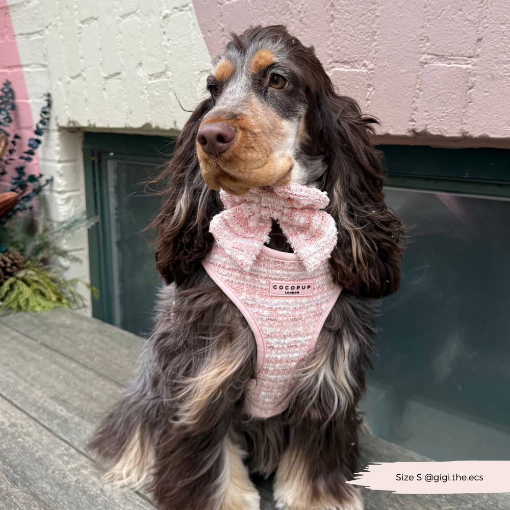 Nœud Papillon Marin en Tweed Texturé Rose